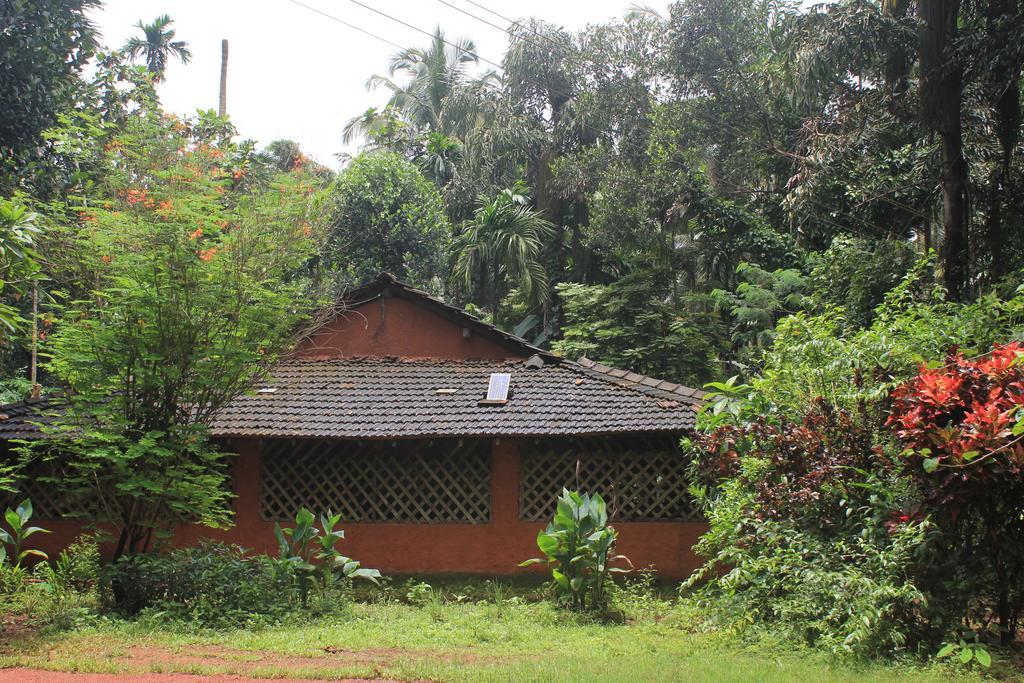 Dudhsagar Plantation Villa Cormonem Eksteriør billede