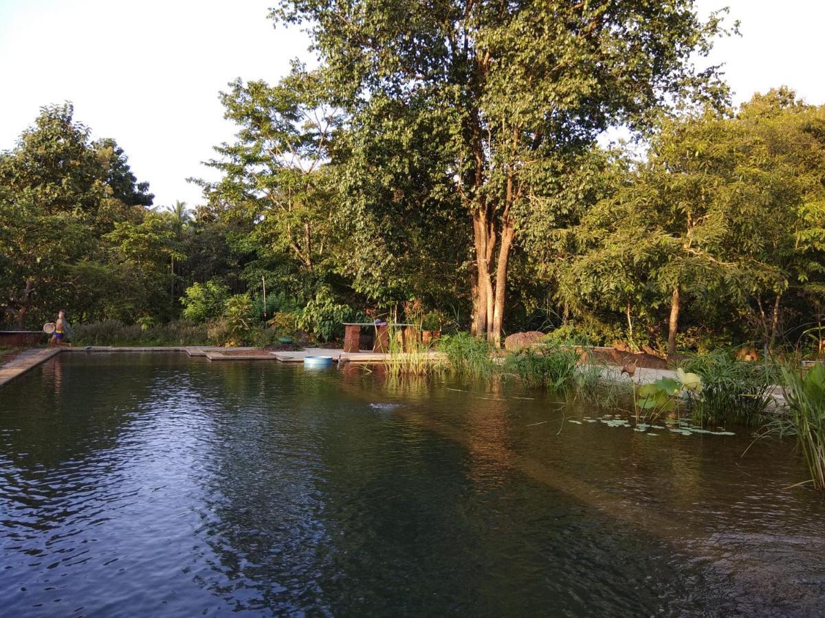 Dudhsagar Plantation Villa Cormonem Eksteriør billede